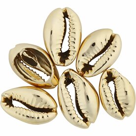 Schelpkralen | Goud vergulde schelpen met gat | Sieraden maken | &Oslash; 20 mm | 6 stuks