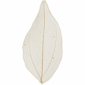 Skeleton Leaves - Geperste Skeletbladeren - Natuurlijke Lichtbruine Bladeren - 6-8 cm - 20 Stuks