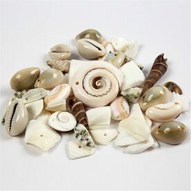 Schelpkralen | Strand schelpen mix met gat | Sieraden maken | &Oslash; 9-40 mm | Gat 1-1,5 mm | 120 gr