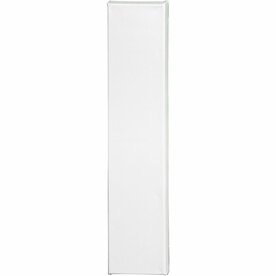ArtistLine canvas, afm 10x50 cm, diepte 1,6 cm, wit, 1stuk, 360 gr kopen?