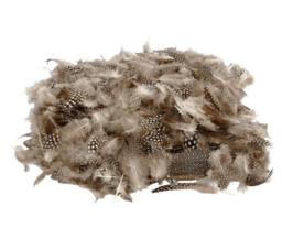 DIY Veren - Naturel - Creatieve Veren - 50 Stuks