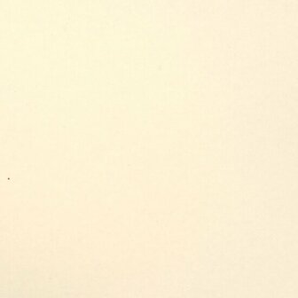 Florence cardstock smooth A4 white smooth 10 vel
