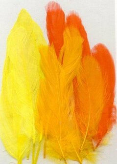 Veren Geel/Oranje - Decoratieve Geel Oranje Veren - Knutselveren - Hobby Veren - Knutselveren - Sierveren - 15 Stuks