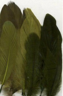 Veren Groen - Decoratieve Groene Veren - Knutselveren - Hobby Veren - Knutselveren - Sierveren - 15 Stuks