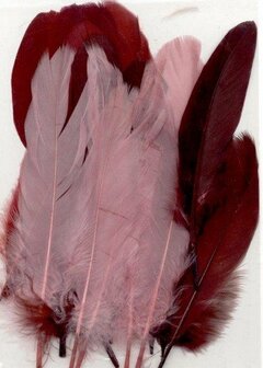 Veren Bordeaux Rood - Decoratieve Rode Veren - Knutselveren - Hobby Veren - Knutselveren - Sierveren - 15 Stuks