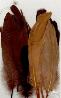 Veren Bruin - Decoratieve Bruine Veren - Knutselveren - Hobby Veren - Knutselveren - Sierveren - 15 Stuks