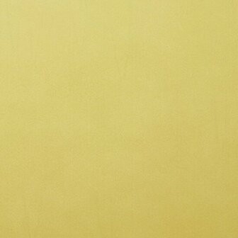 Karton - Cardstock - Gladde Afwerking - A4 - anise - Beige - 216 grams - Florence - 10 vellen