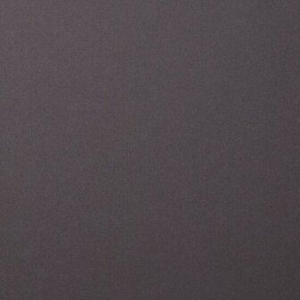 Karton - Cardstock - Gladde Afwerking - A4 - anthracite - Grijs - 216 grams - Florence - 10 vellen