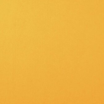 Florence cardstock smooth A4 bee 10 vel