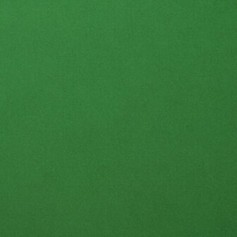Karton - Cardstock - Gladde Afwerking - A4 - broccoli - Groen - 216 grams - Florence - 10 vellen