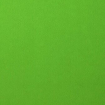 Karton - Cardstock - Gladde Afwerking - A4 - frog - Groen - 216 grams - Florence - 10 vellen