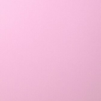 Karton - Cardstock - Gladde Afwerking - A4 - lilac - Paars - 216 grams - Florence - 10 vellen