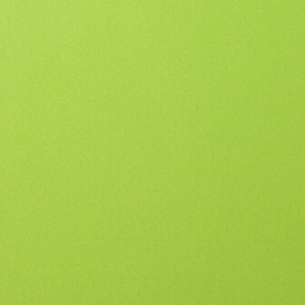 Karton - Cardstock - Gladde Afwerking - A4 - lime - Groen - 216 grams - Florence - 10 vellen