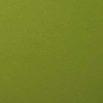Karton - Cardstock - Gladde Afwerking - A4 - olive - Groen - 216 grams - Florence - 10 vellen