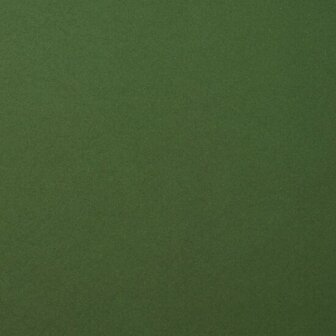 Karton - Cardstock - Gladde Afwerking - A4 - pine - Groen - 216 grams - Florence - 10 vellen