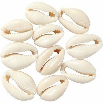 Schelpen - Natuurlijke Schelpen met Gaten - Lengte 20 mm - 12 Stuks