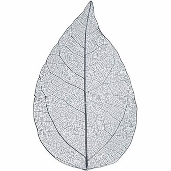 Skeleton Leaves - Skeletbladeren Voor Decoratie - Dunne Geperste Bladeren - DIY Scrapbooking en Knutselen - Blauwe Bladeren - Lengte 6-8 cm - Set van 20 Stuks