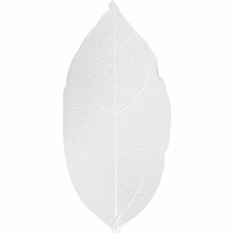 Skeleton Leaves - Skeletbladeren - Dunne Geperste Bladeren - Decoratie - Wit - Lengte: 6-8 cm - 20 stuks