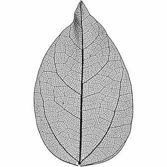 Skeleton Leaves - Geperste Skeletbladeren - DIY Decoratieve Bladeren - Zwarte Kleur - Voor Kaarten en Hobbyprojecten - Lengte 6-8 cm - Set van 20 Stuks
