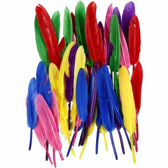 Veren Verschillende Kleuren - Decoratieve Gekleurde Veren - Knutselveren - Hobby Veren - Knutselveren - Sierveren - 13cm - (6 kleuren) 48 Stuks