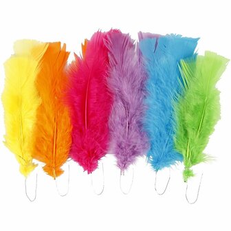 Veren, diverse kleuren, L: 11-17 cm, 18 bol