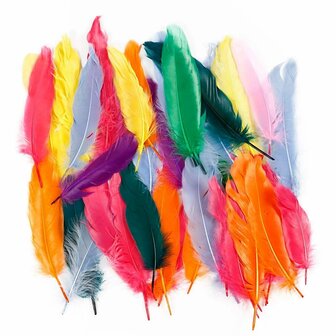 Veren Verschillende Kleuren - Decoratieve Gekleurde Veren - Knutselveren - Hobby Veren - Knutselveren - Sierveren - 12-15cm - 350 stuks