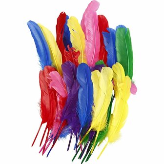Veren Verschillende Kleuren - Decoratieve Gekleurde Veren - Knutselveren - Hobby Veren - Knutselveren - Sierveren - 20cm - 36 stuks