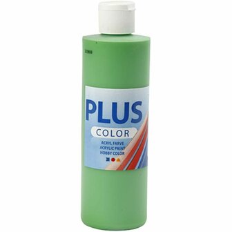 Acrylverf  Groene Verf  Acrylaatverf  Acrylpaint  Hobbyverf  Sneldrogende Verf  Dekkende Verf  Waterbasis Verf  Hoogwaardige Decoratie Verf  Bright Green  Plus Color Verf  250ml