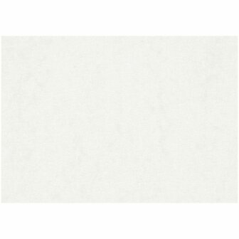 Aquarelpapier - Lichte Structuur - Wit - 42x60cm - A2 - 200 grams - Creotime - 100 vellen