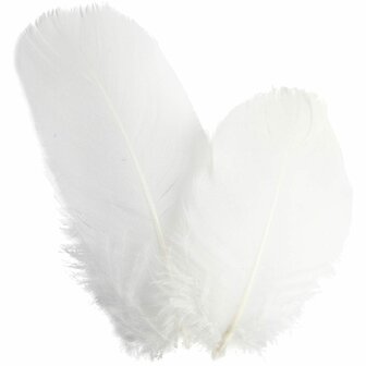 Ganzenveren Wit - Decoratieve Witte Veren - Knutselveren - Hobby Veren - Knutselveren - Sierveren - Lengte 5-8 cm - Gewicht 3 g