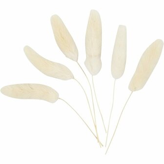 Hazenstaart Gras - Droogbloemen Decoratie - Beige Naturel Pluimen - Lagurus Droogbloemen Set - Creatieve Droog Steekschuim Decoratie - L: 3-7 cm - Set van 6 Stuks