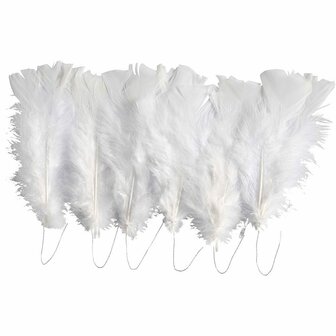 Donsveren Natuurlijk - Decoratieve Naturel Veren - Knutselveren - Hobby Veren - Knutselveren - Sierveren - 2x24 Stuks