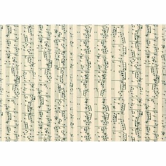 Zwart-Wit Karton 180 Grams - Zwart-Wit A4 Karton - Hobbykarton - Stevig Papier - Knutselpapier Knutselkarton - Muzieknotenpatroon - 21x29,7 cm - A4 - 10 Vellen