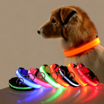 Groene Lichtgevende Hondenhalsband LED Verlichting