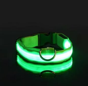 Groene Lichtgevende Hondenhalsband LED Verlichting