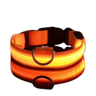 Oranje Lichtgevende Hondenhalsband LED Verlichting