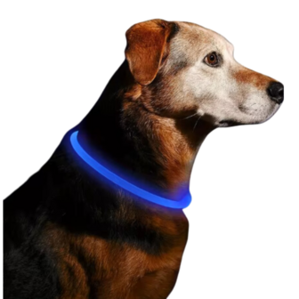 Blauwe LED Hondenhalsband &ndash; Lichtgevende Hondenhalsband &ndash; USB Hondenhalsband &ndash; Veiligheidshalsband Hond
