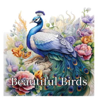 Kleurboek Mooie Vogels &ndash; Vogel Kleurboek &ndash; Kleurboek Vogels &ndash; Kleurplaten Vogel