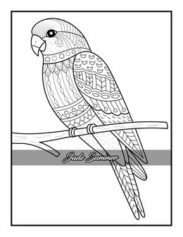 Kleurboek 100 Animals - Jade Summer - Kleurboek Dieren Mandala&#039;s - Dieren Mandala Kleurboek