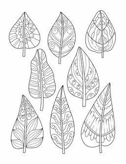 Mindfulness Patterns Kleurboek - Vivi Tinta - Mindfulness Patronen Kleurboek