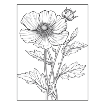 Bloemen Kleurboek - Bloemen Kleurplaten - Volwassenen En Kinderen Bloemboeketten - Kleurboek Natuur Wilde Bloemen - 21,59 x 21,59 cm - 40 Kleurplaten
