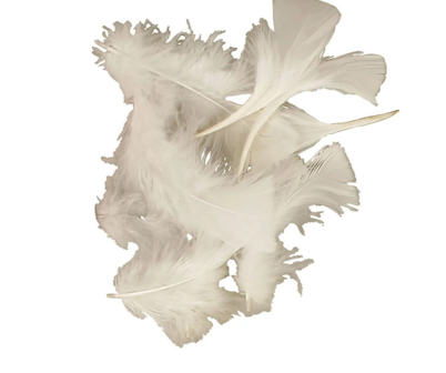 Donsveren Wit - Super Zachte Kalkoendons - Fijn Donsmateriaal - Creatieve Dons voor DIY Decoraties - Hoogwaardige Witte Dons - 7-8 cm - 500 gram