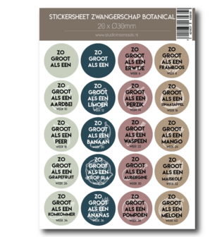 Studio Ins &amp; Outs - Stickervel Zwangerschap Botanical - 20 Ronde Stickers - Zwangerschap Mijlpaalstickers - Baby Grootte St