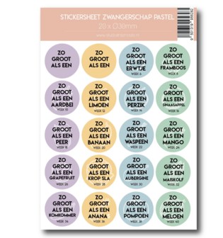 Studio Ins &amp; Outs - Stickervel Zwangerschap Pastel - 20 Ronde Stickers - Zwangerschap Mijlpaalstickers - Baby Grootte Stickers
