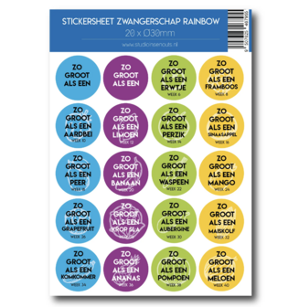Studio Ins &amp; Outs - Stickervel Zwangerschap Rainbow - 20 Ronde Stickers - Zwangerschap Mijlpaalstickers - Baby Grootte Stic