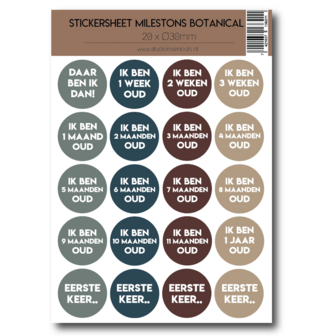 Studio Ins &amp; Outs - Stickervel Milestones Botanical - Baby Mijlpaalstickers Leeftijden - Aardetinten - 20 Stickers 