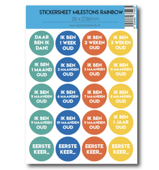 Studio Ins &amp; Outs - Stickervel Milestones Rainbow - Baby Mijlpaalstickers Leeftijden - Regenboogkleuren - 20 Stickers