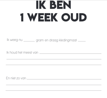 Studio Ins &amp; Outs &ndash; Invulboek Baby&rsquo;s Eerste Jaar &ndash; Fotoboek &amp; Herinneringsboek &ndash; Met 80 Invulpagina&rsquo;s &ndash; Bot