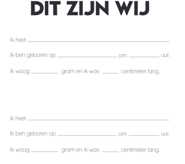 Studio Ins &amp; Outs - Invulboek Tweeling Baby&rsquo;s Ons Eerste Jaar - Baby Tweeling Dagboek - Herinneringen Boek