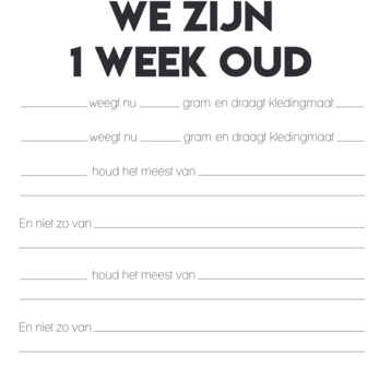 Studio Ins &amp; Outs - Invulboek Tweeling Baby&rsquo;s Ons Eerste Jaar - Baby Tweeling Dagboek - Herinneringen Boek